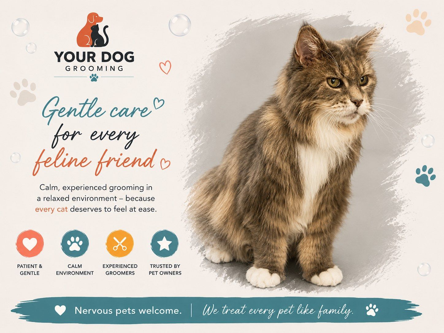 Your Dog Grooming &mdash; Gentle care for every feline friend