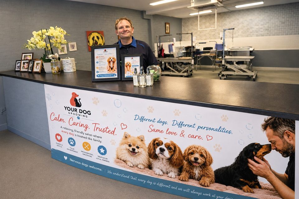 Denis at the Your Dog Grooming reception desk, holding a happy cockapoo