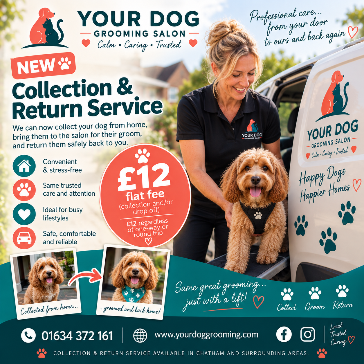 Your Dog Grooming Salon