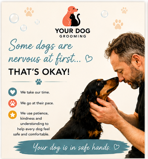 Your Dog Grooming Salon