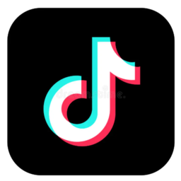 TikTok icon